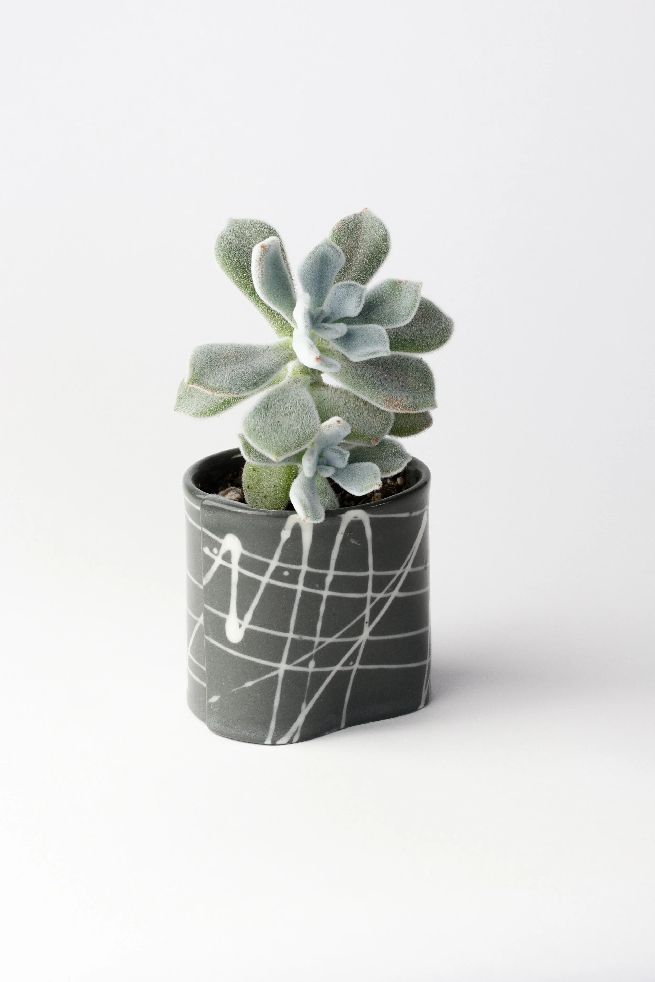 Mini Planter- Black w/ white grid