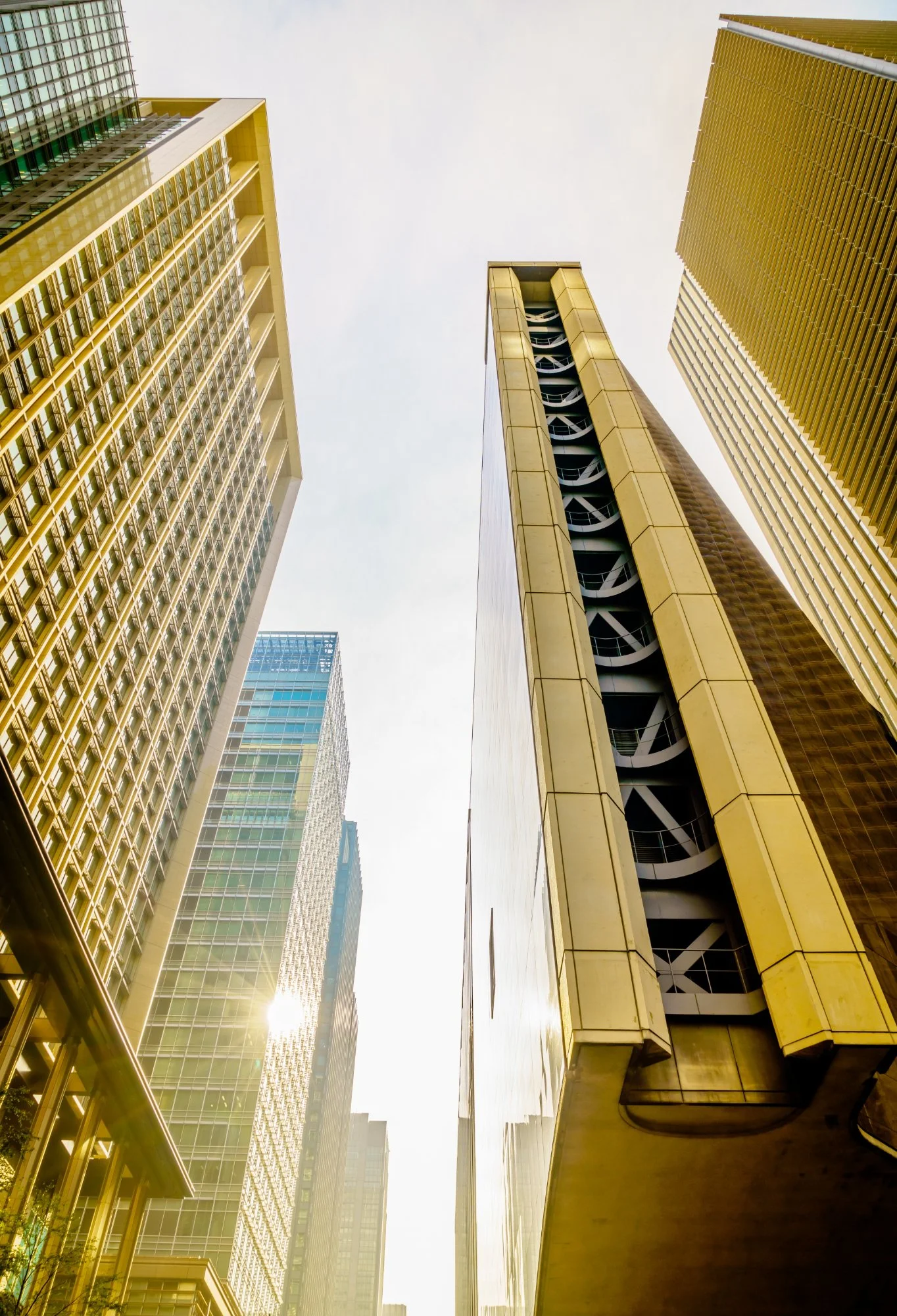 How Tax Advisory Helps You Maximize Savings