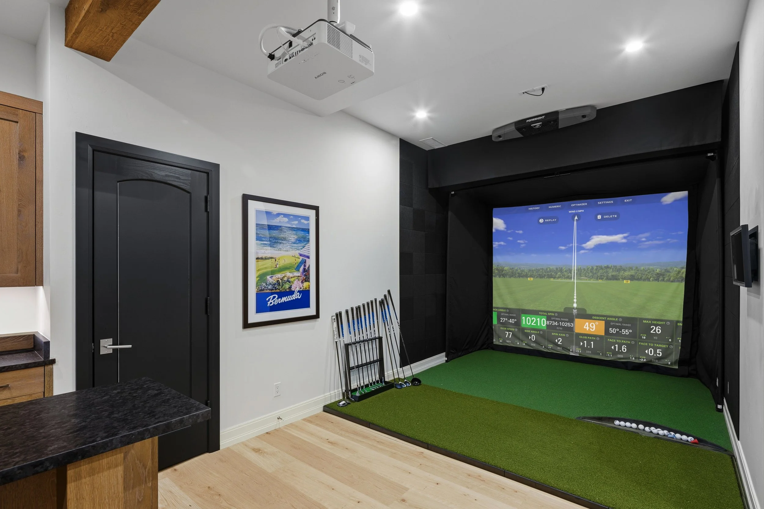 Golf Simulator.jpg