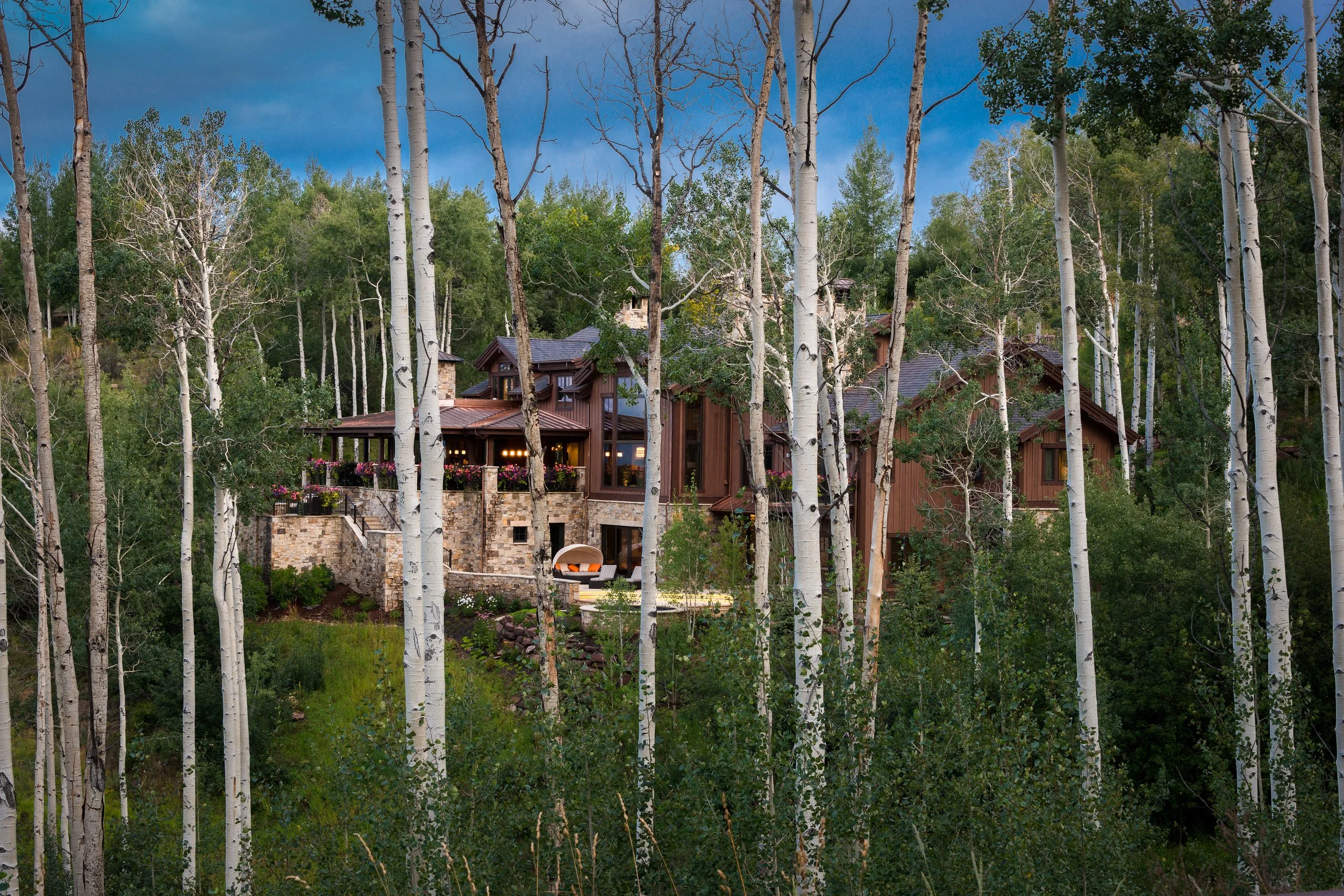 Exterior Back - Zoom Out.jpg