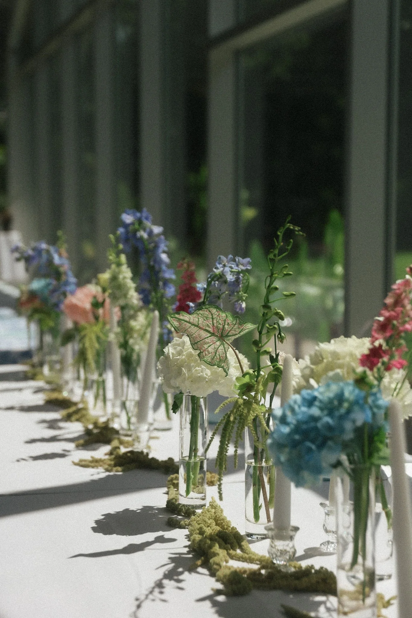 Photo by Melissa Ann Photographs