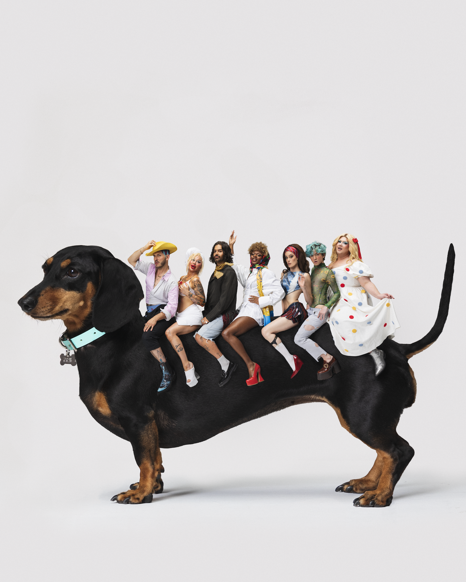 dog one copy.png