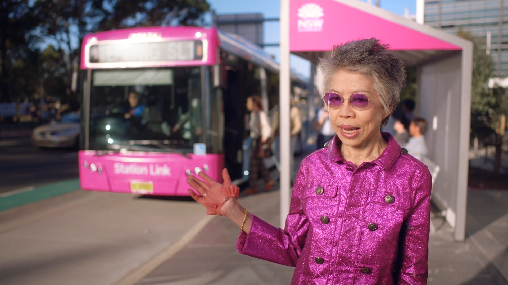 Chin Up Sydney - Transport NSW