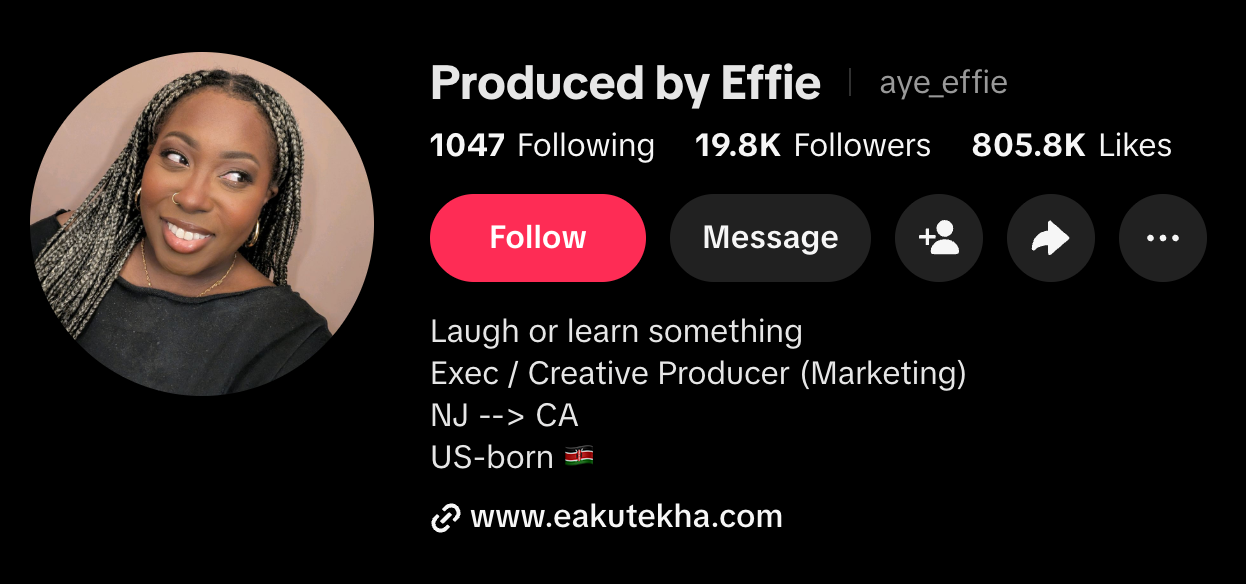 A screenshot of @aye_effie's TikTok profile shows almost 20,000 followers as of October 2026, with over 800,000 total likes..