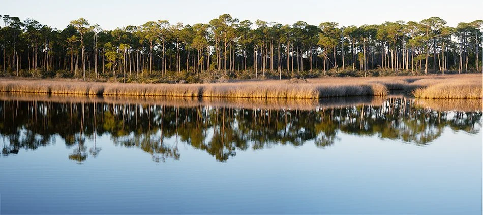 Pensacola Naval Base Nature Preserve .jpg