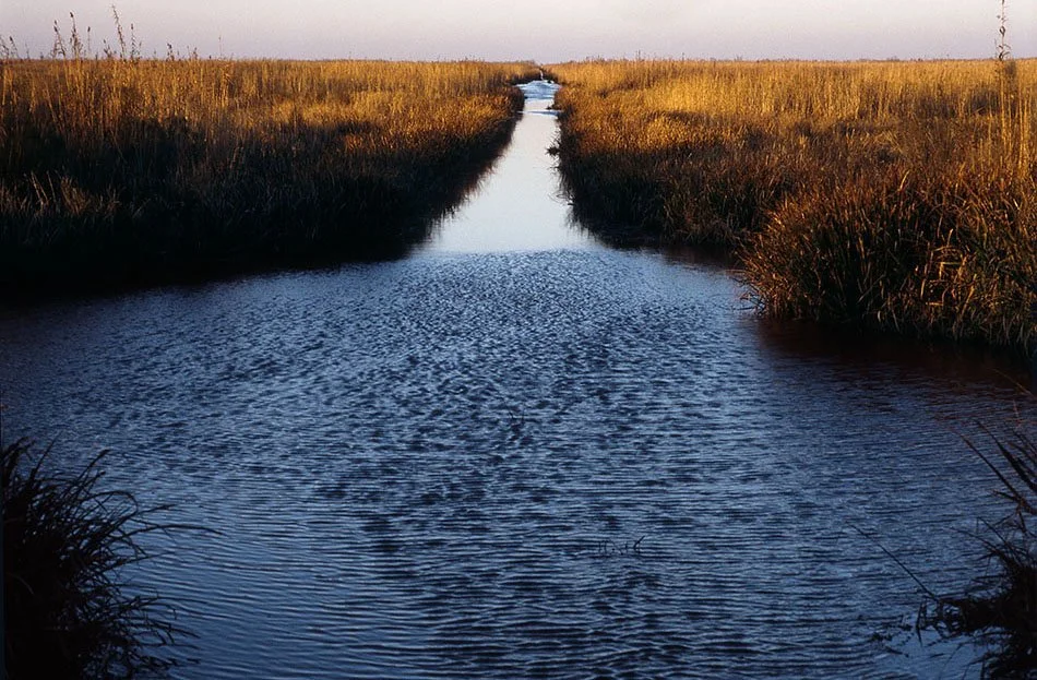 Marsh Trail