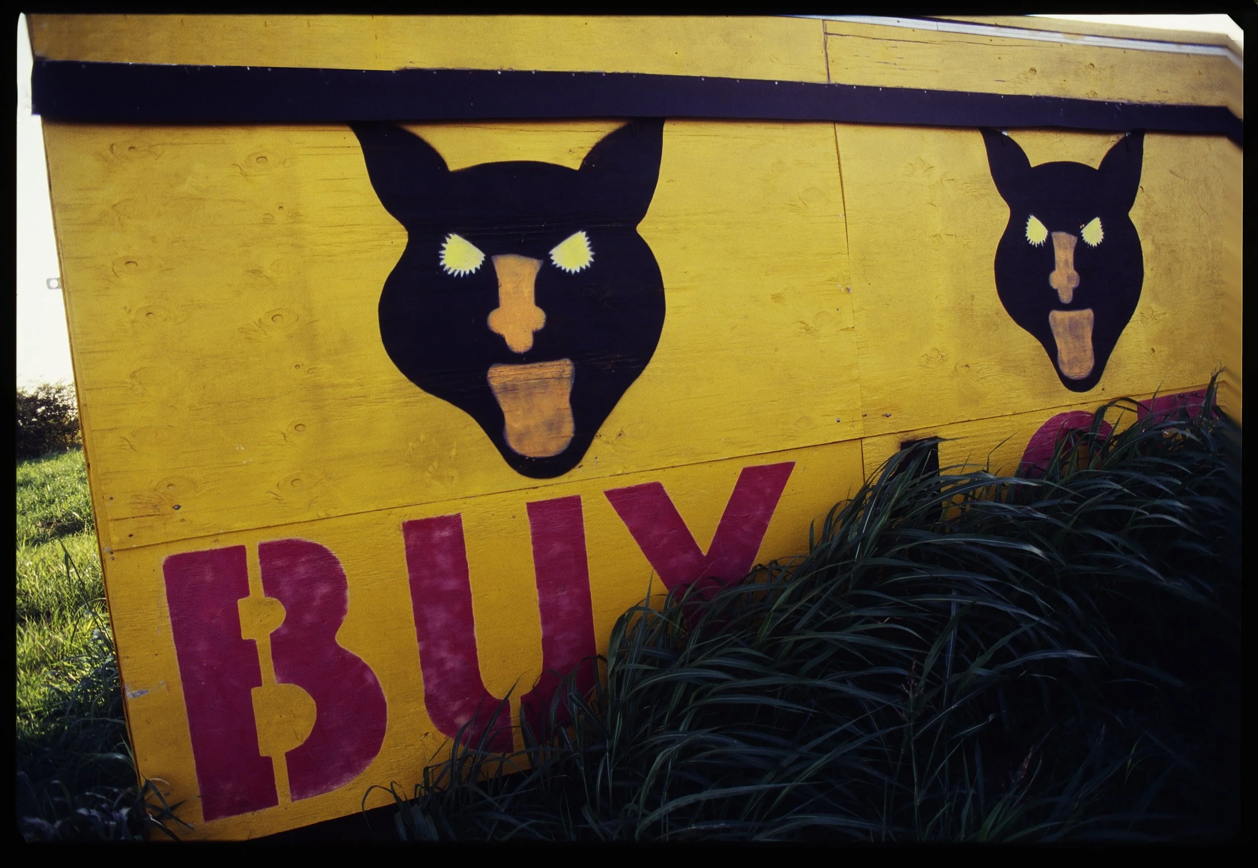 Fireworks Black Cats .jpg