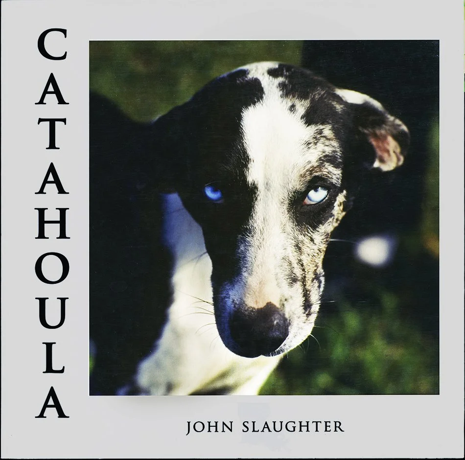 Catahoula Book Cover  copy.jpg