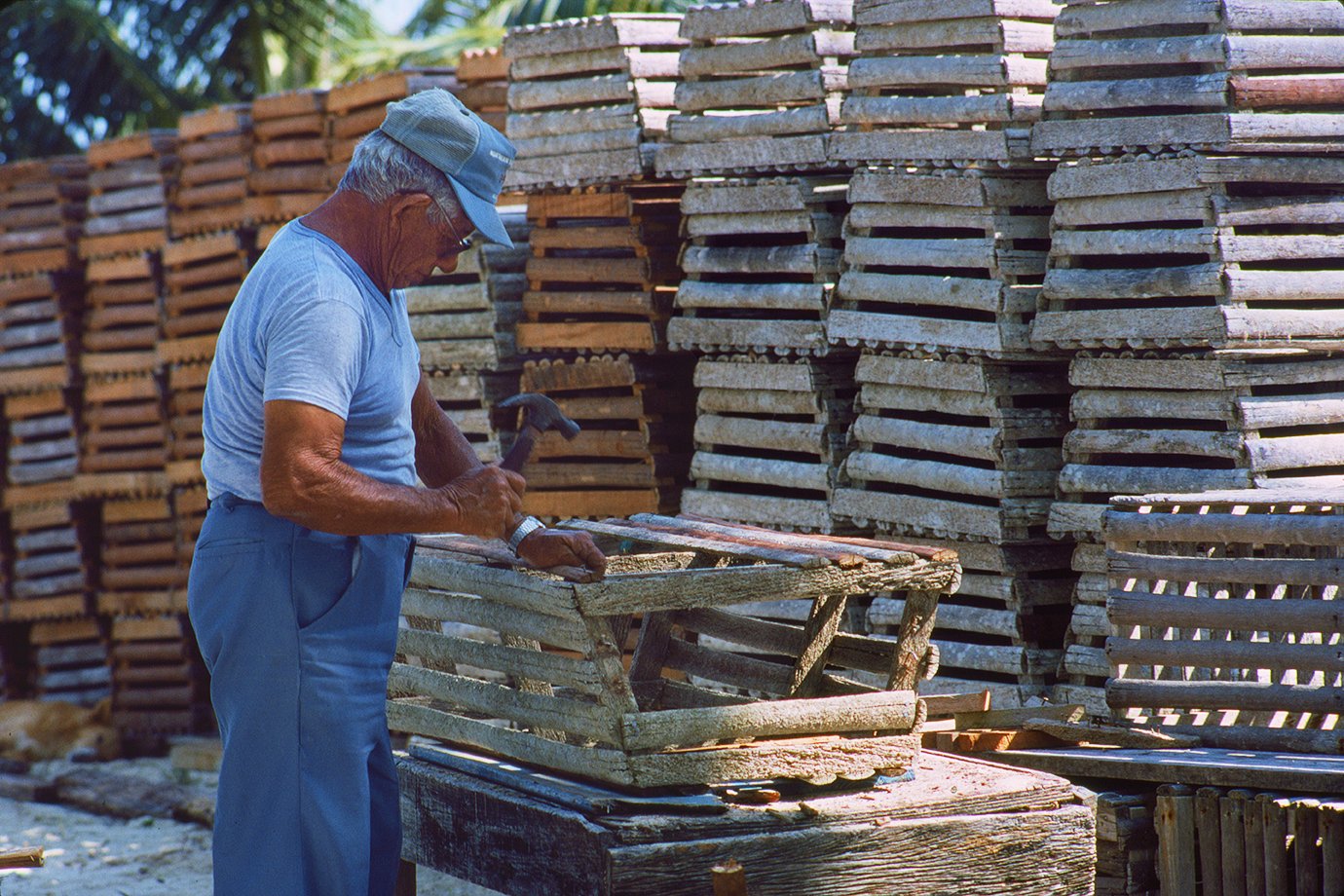 Lobster Trap Repairman S.jpg