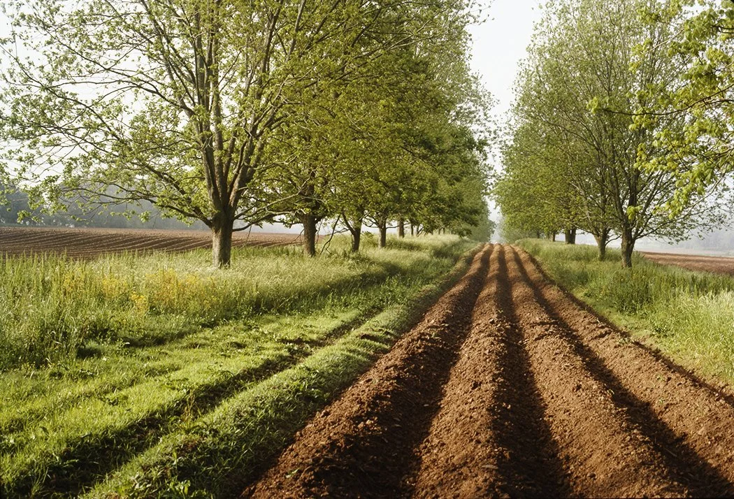 Plowed Field.jpg