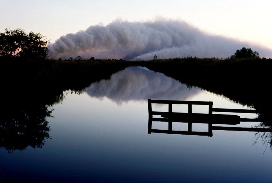 Marsh Burn
