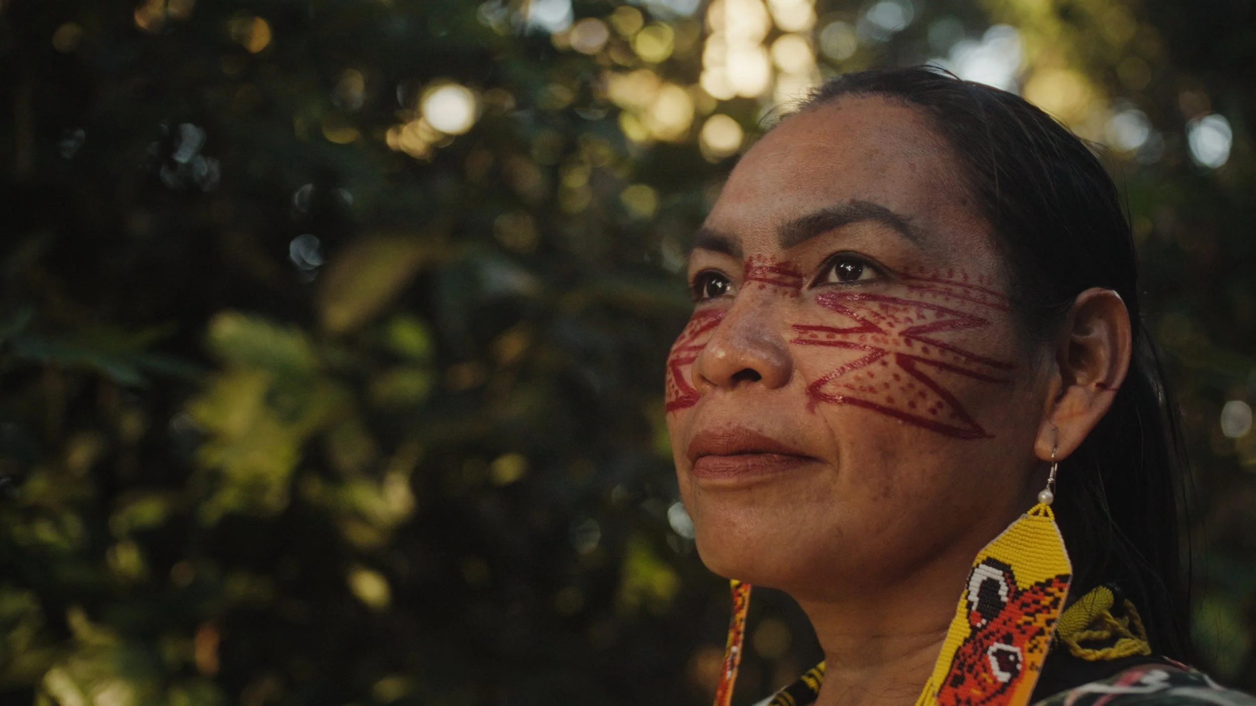 Agroforestry in the Amazon - Yawanawá