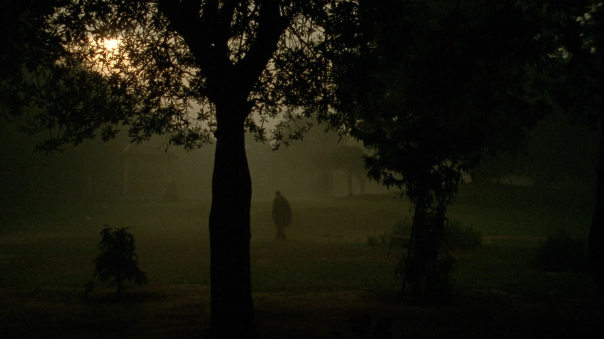 A silhouette of a person walking outdoors at night or early dawn, with trees and foggy or misty atmosphere.