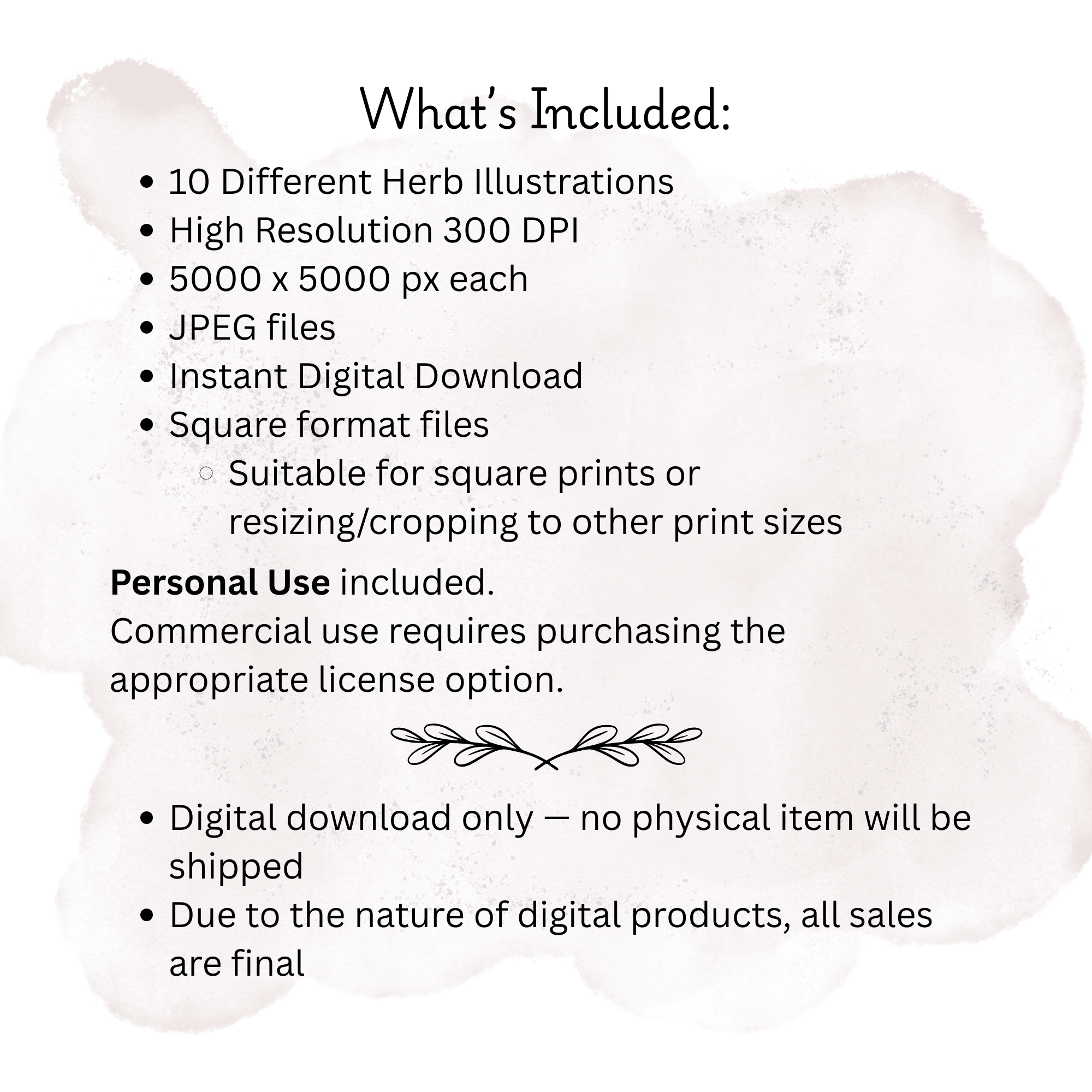 Herb Illustration Bundle - 4.png