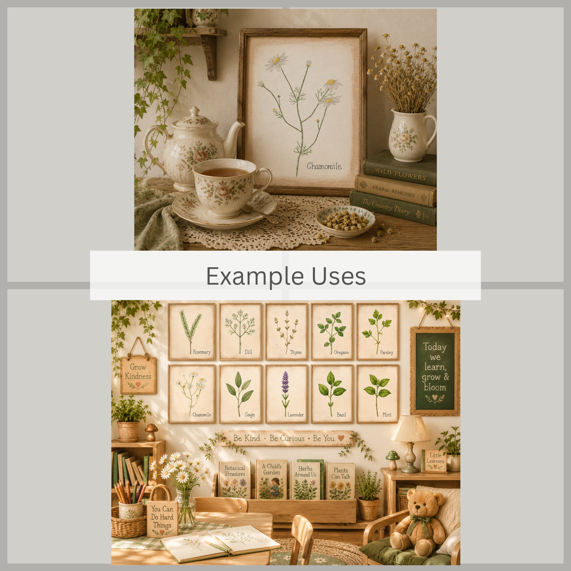 Herb Illustration Bundle - 3.png