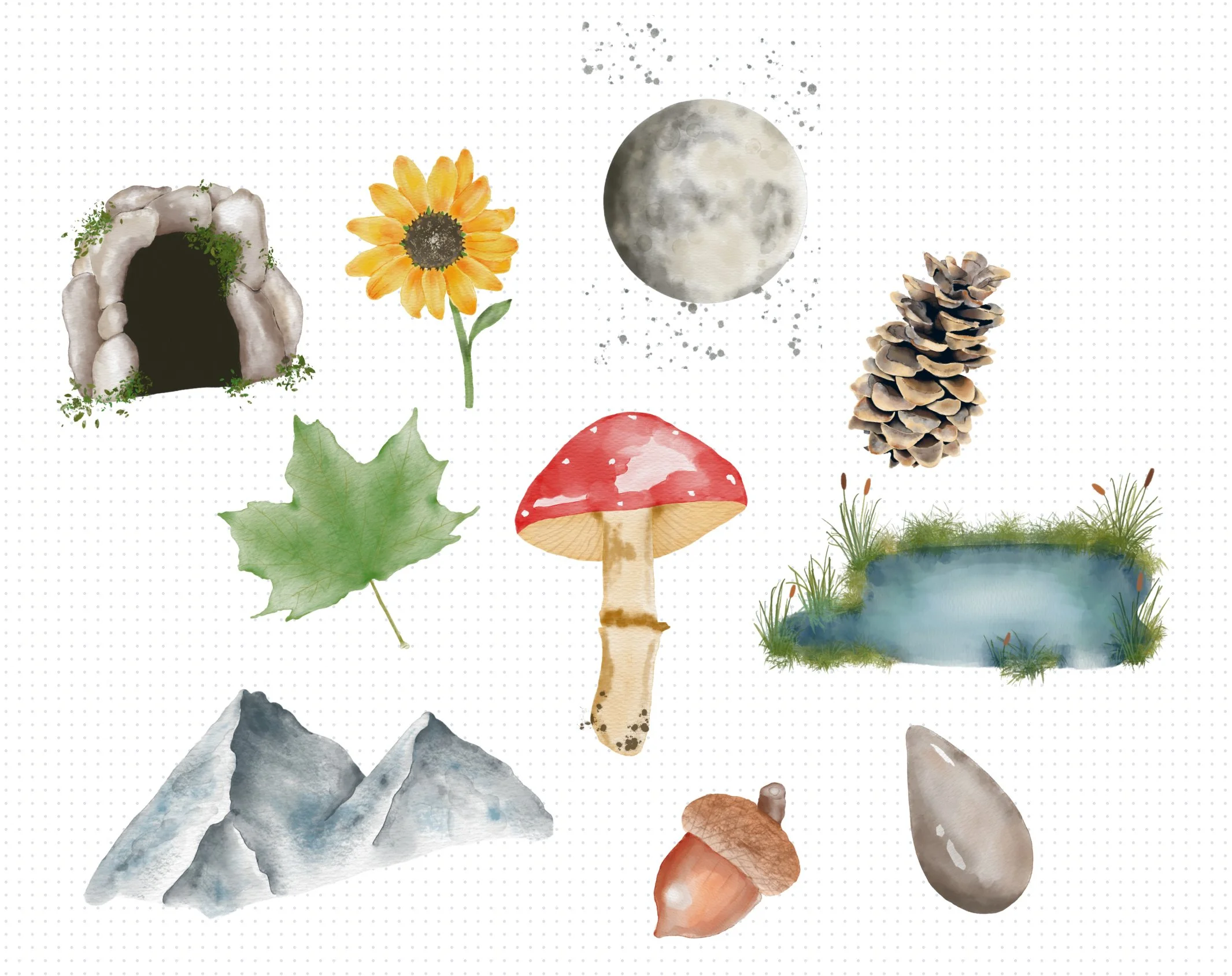 Hand-drawn seamless patterns and clip art by Toadstool Table for creative projects