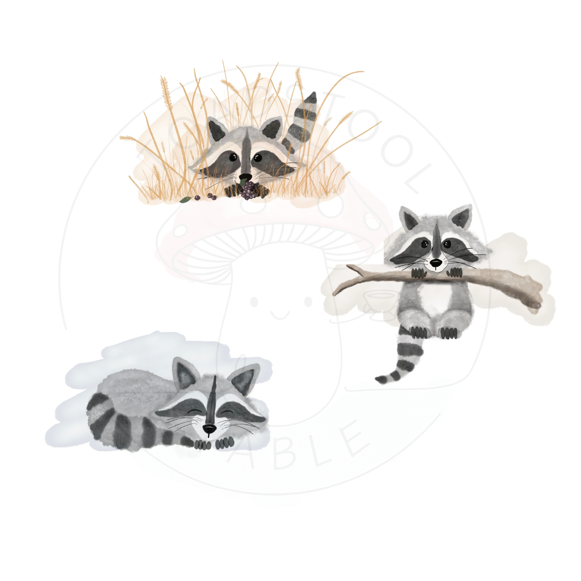 Woodland Raccoon Illustration Collection - 2.png