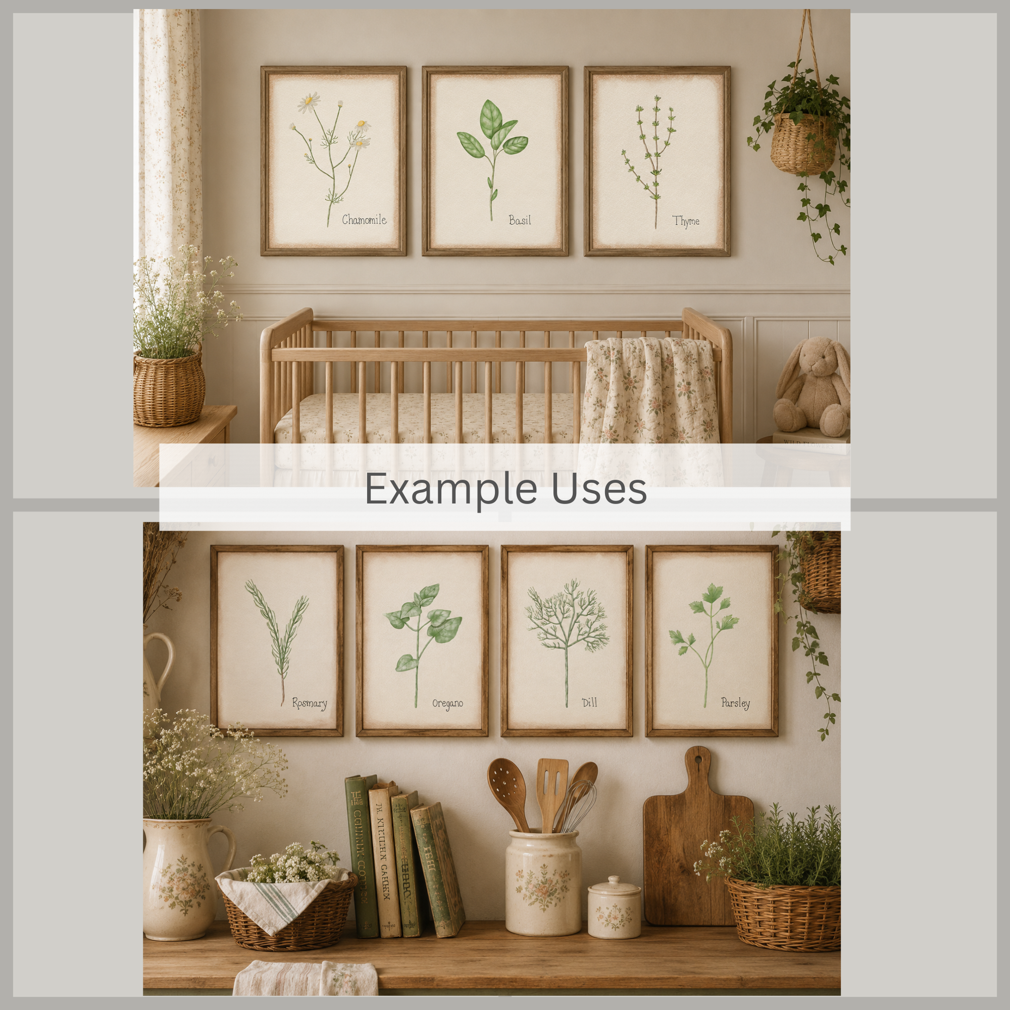 Herb Illustration Bundle - 2.png