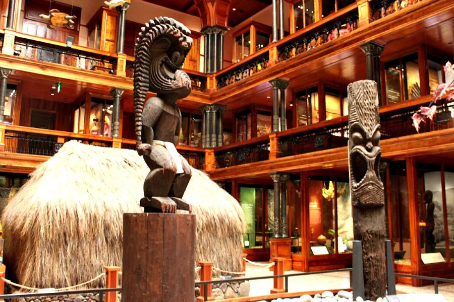 Bishop Museum: Discover Hawai‘i’s rich heritage through ancient artifacts and interactive exhibits that bring the islands’ culture, history, and science to life.