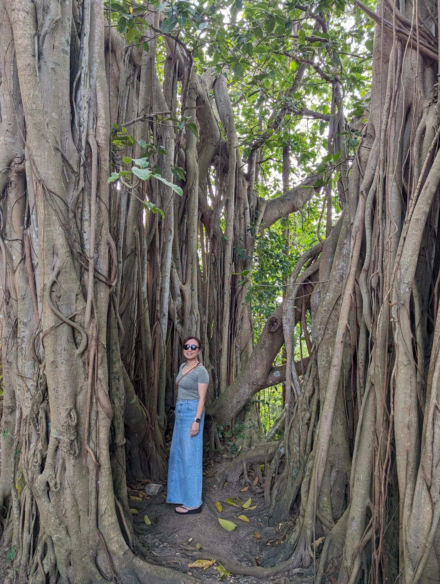 A walk around the Heritance Kandalama hotel in Dambulla, Sri Lanka in 2024
