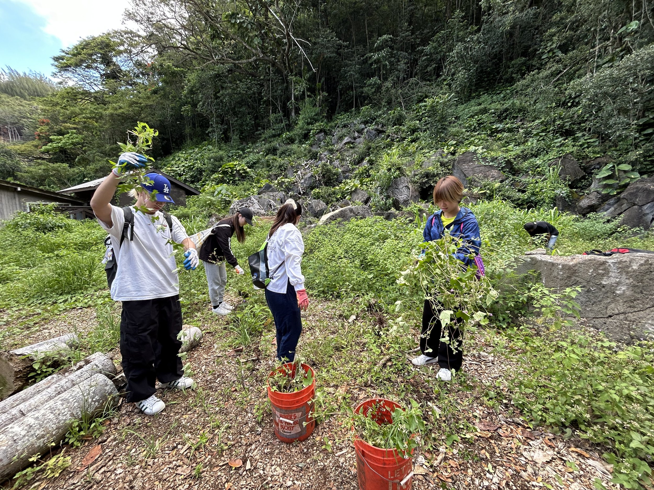 Waimea Valley Service Learning Event