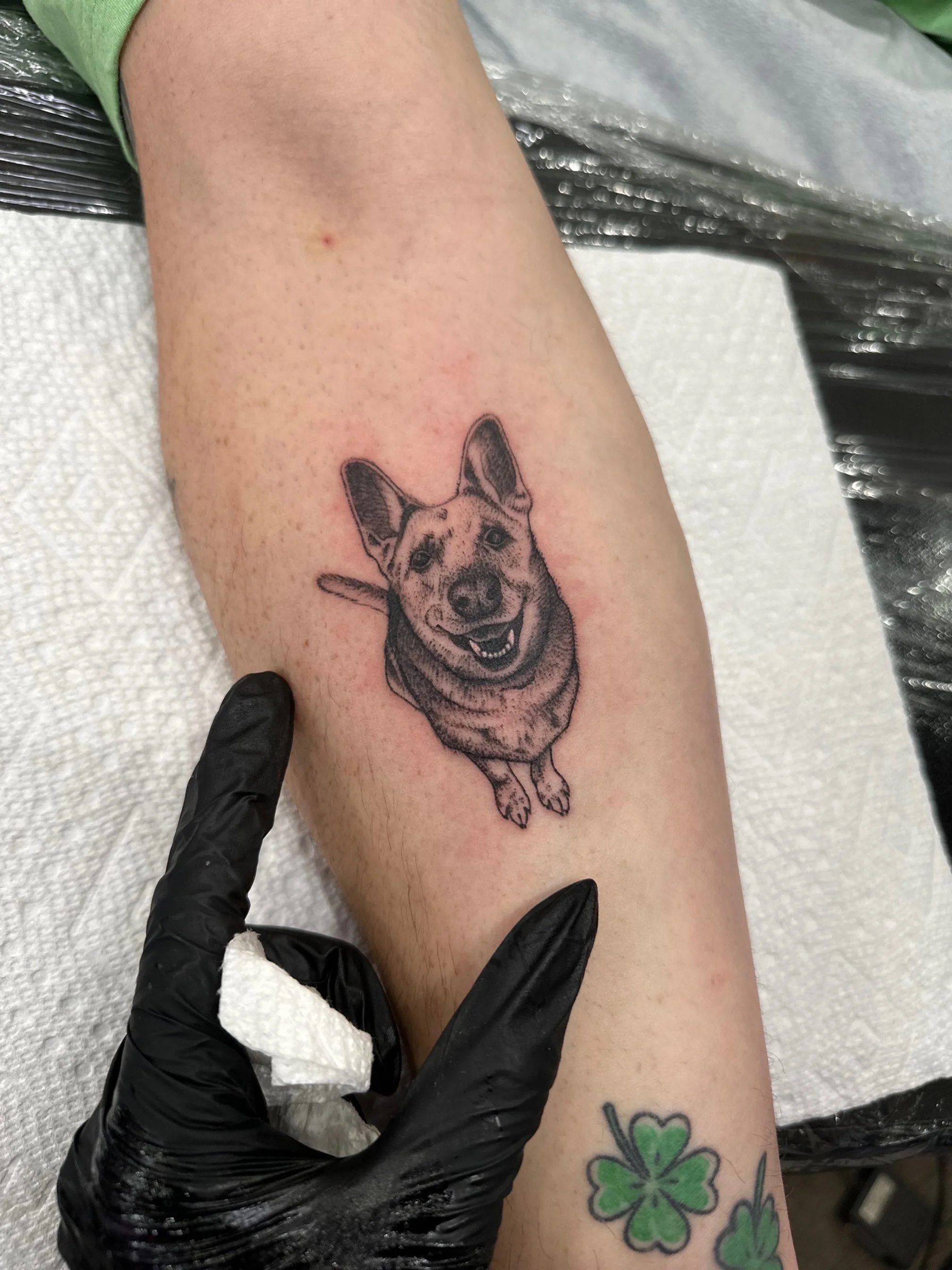 Tattoo of a smiling dog, likely a corgi or similar breed, on a person's leg. The tattoo is black and gray with detailed shading and line work.