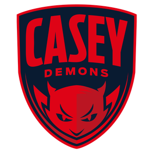 Casey Demons VFL