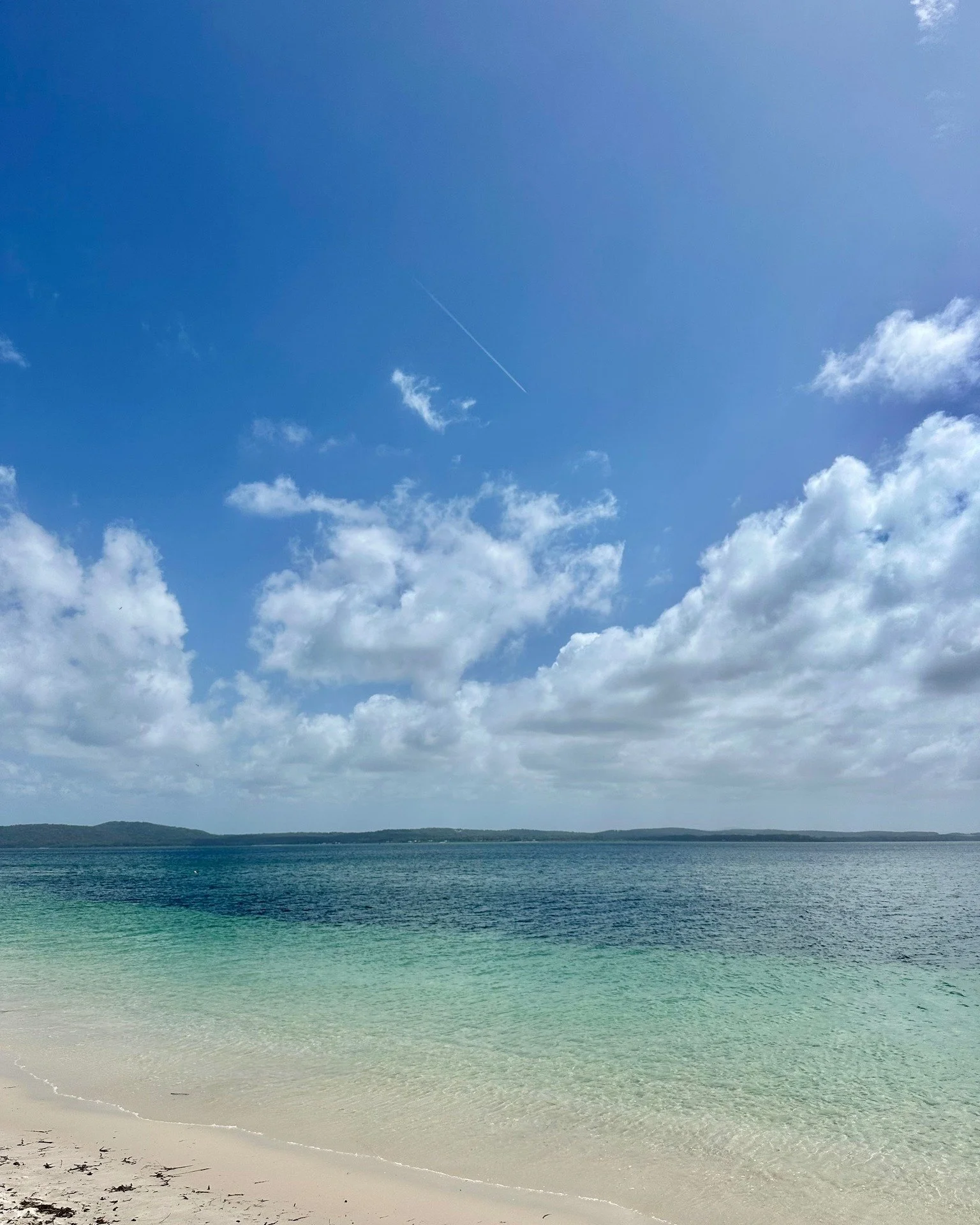 Surrounded by golden sands and crystal waters ~  from Little Beach to Shoal Bay, every path from Nelson Palms leads to the sea.

This stunning beach located only minutes away in Corlette
📍Conroy Park, NSW
.
.
#nelsonbay #shoalbay #weekendaway #trave