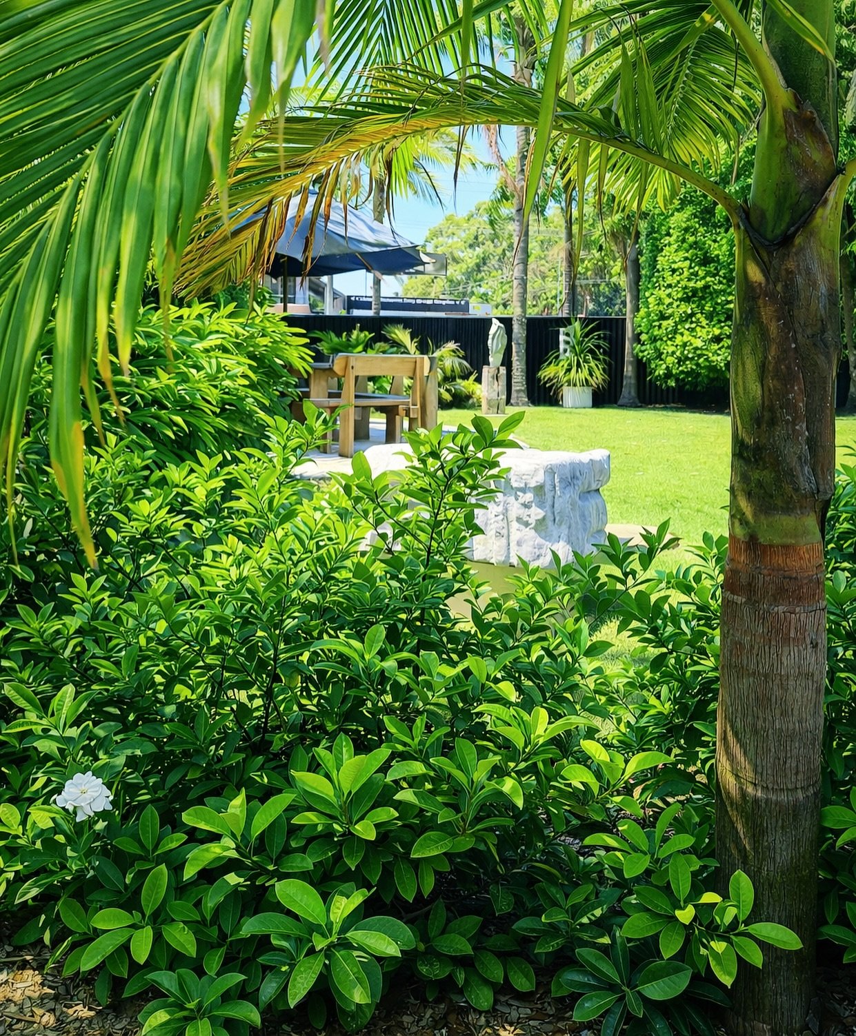 Family roots run deep here 🌿
Grandfather-led, granddaughter-grown, with love and stories in every corner.
From generations before us to generations to come with beautiful hand carved stone artwork by our Great Aunty Jan dotted throughout the grounds