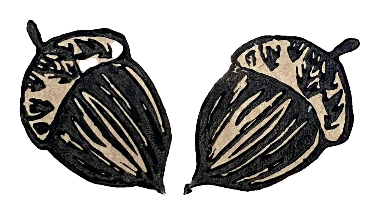 Campfire Stories Merch Party