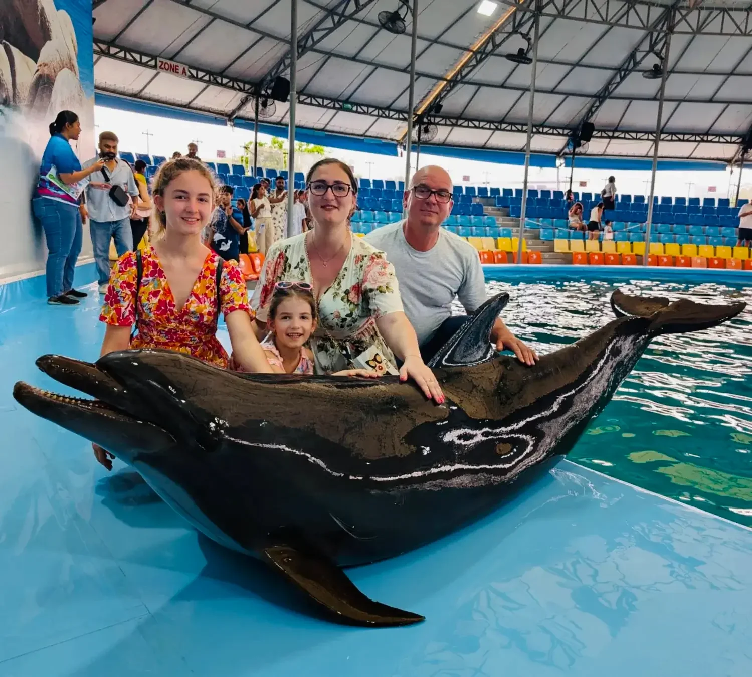 Phuket dolphin show on city tour day with Panya Taxi Phuket
