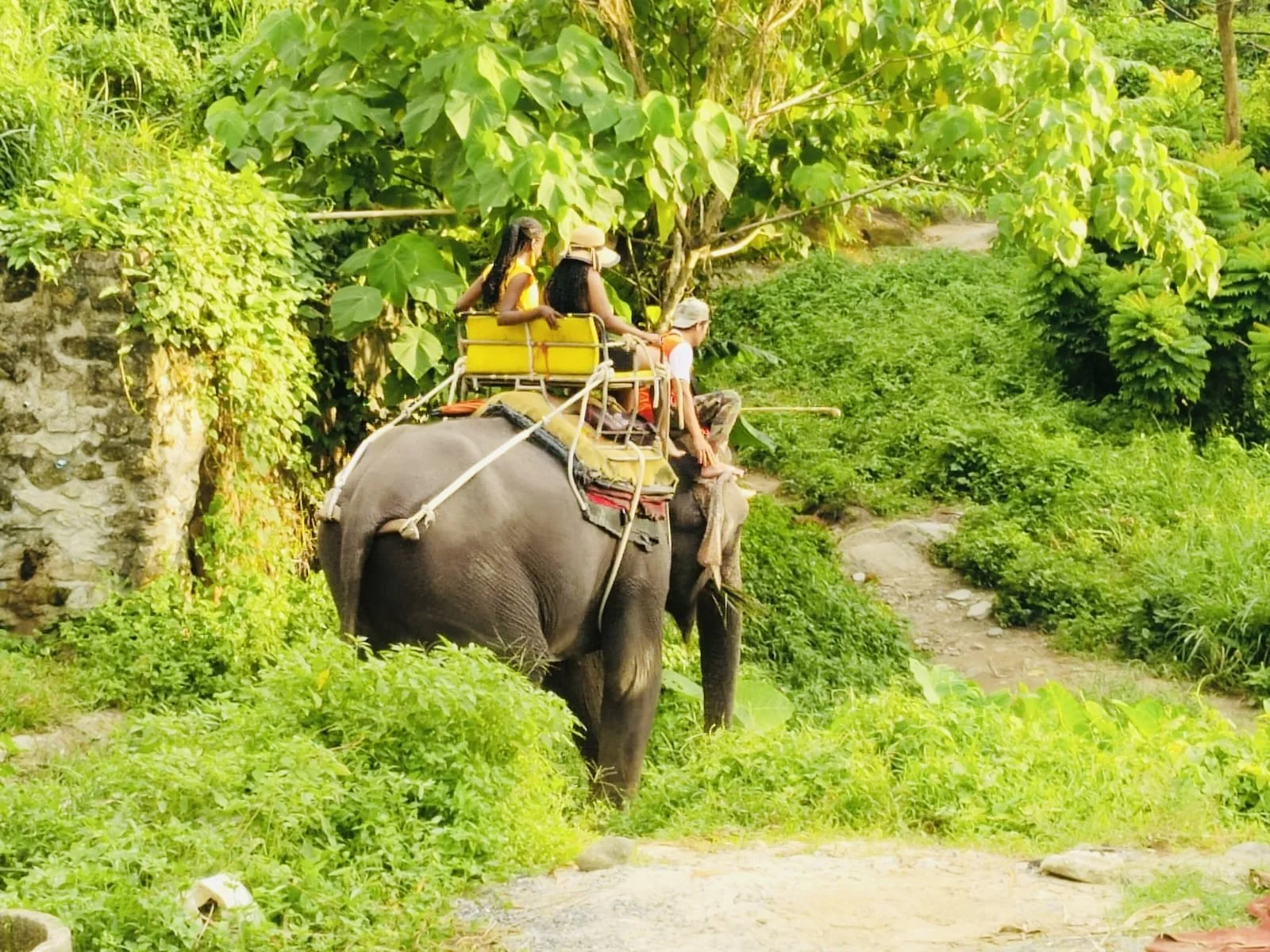 Elephant Adventure Phuket