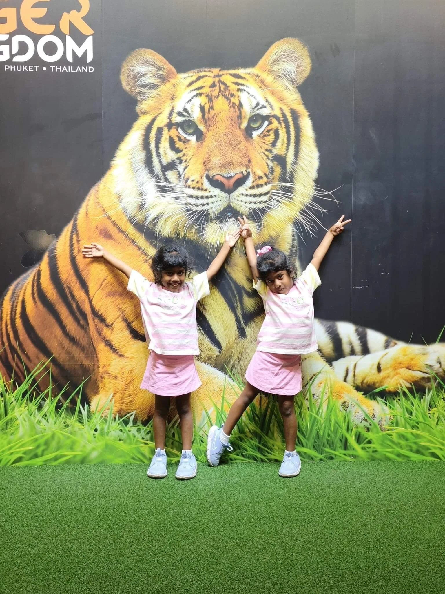 Phuket activity Tiger Kingdom