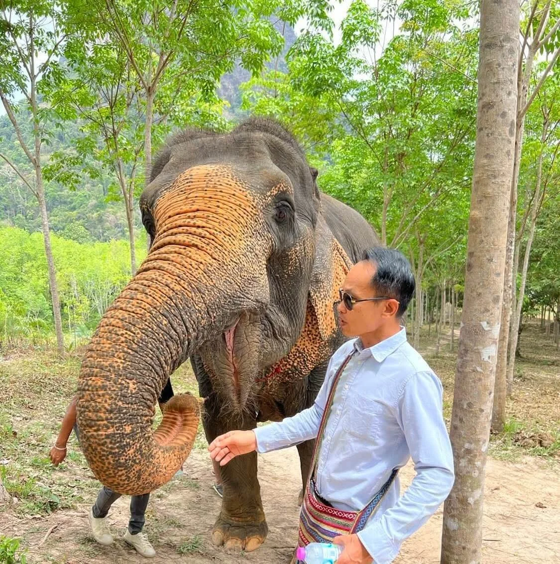 Great Experience Ethical Elephant Sanctuary