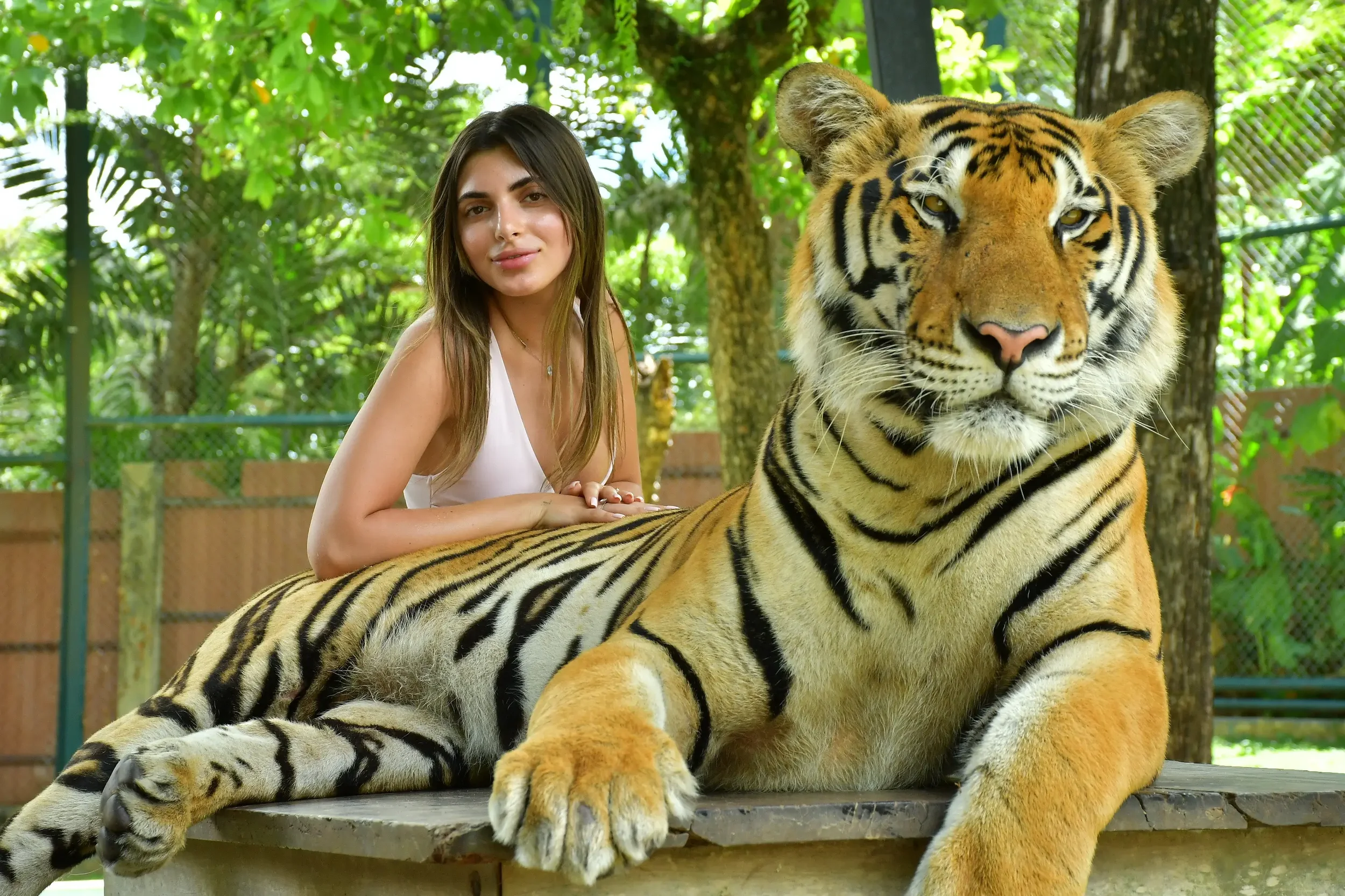 Big Tiger Phuket