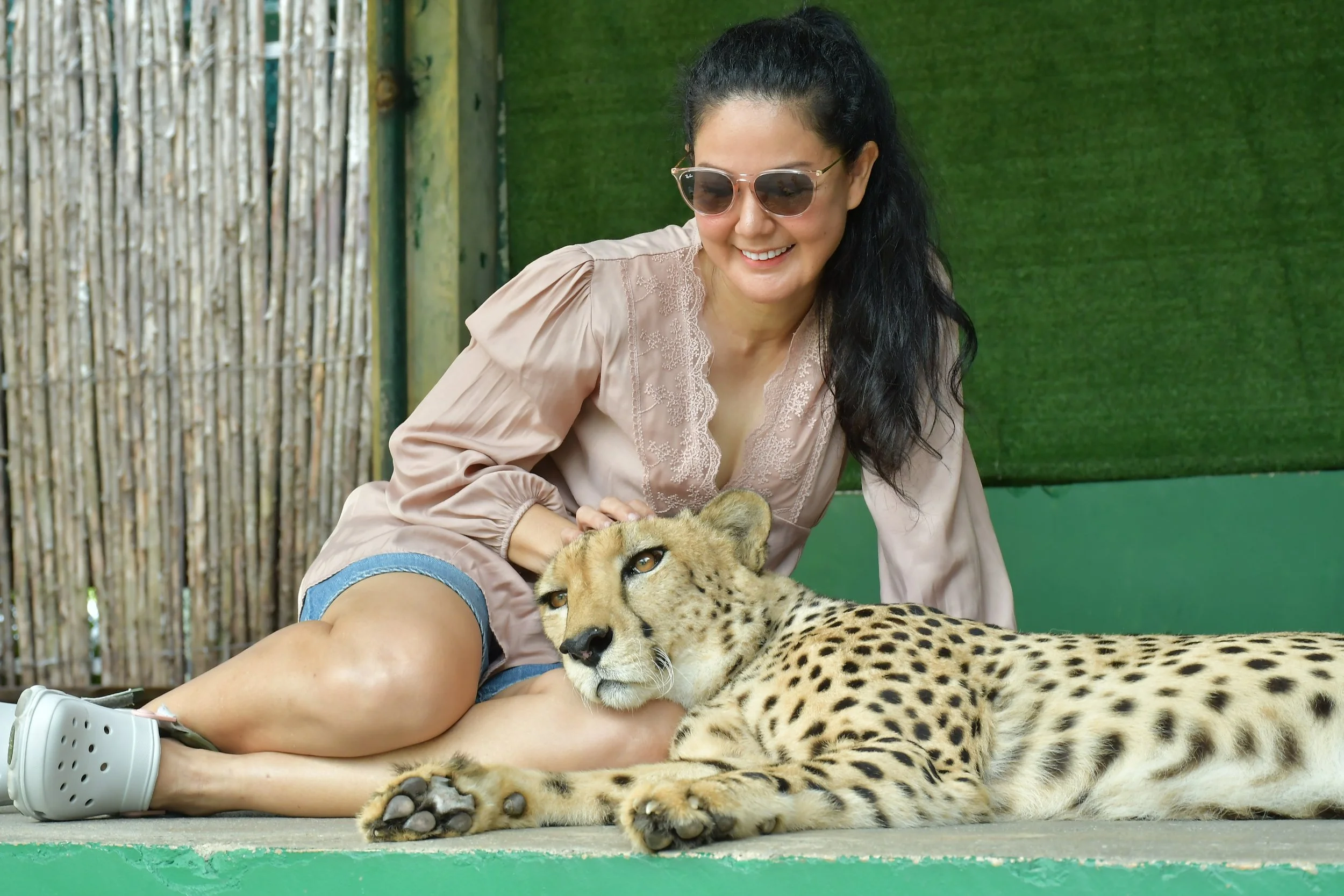 Tiger Park Phuket