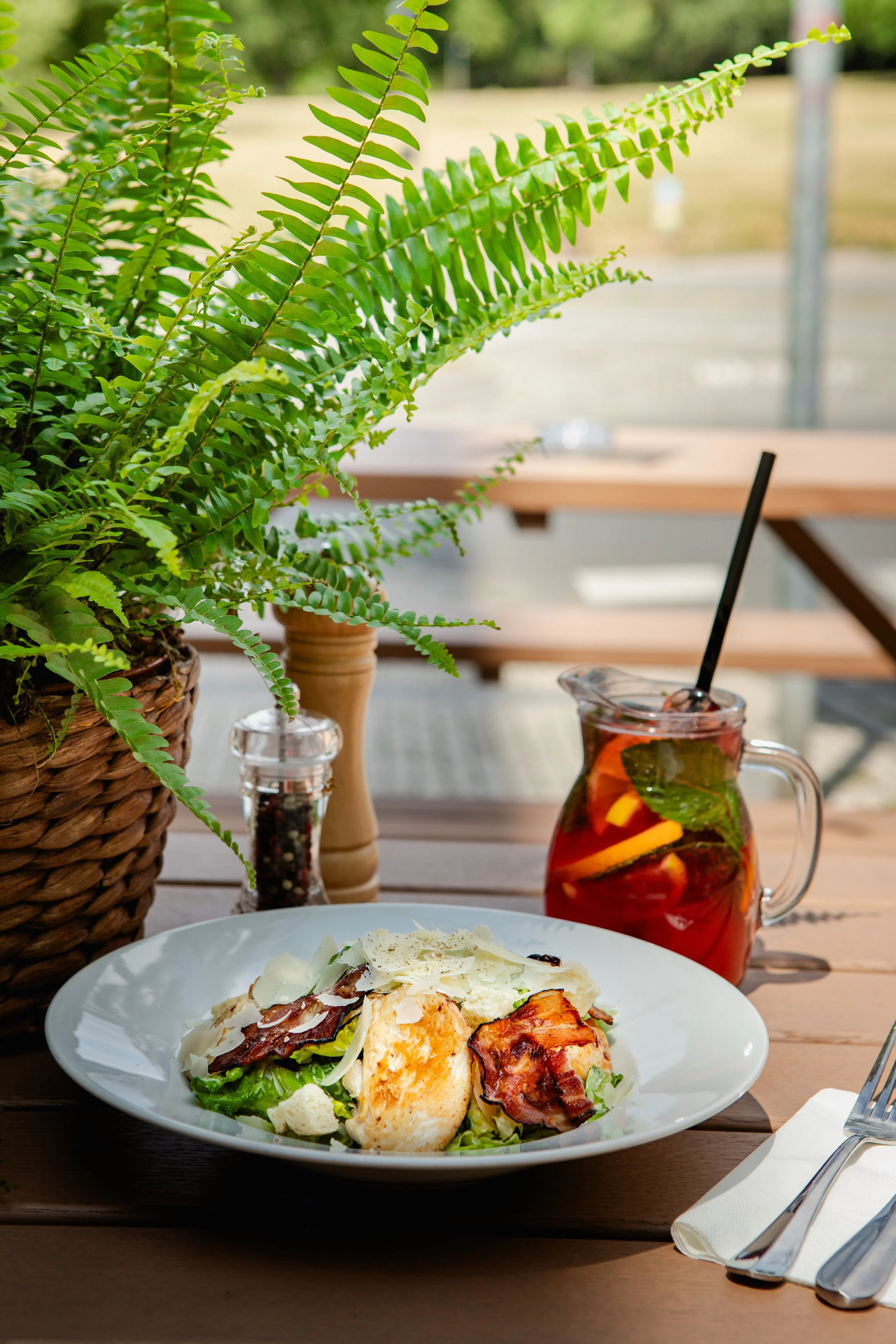 A plate of salad with lettuce, cheese, bacon, and a fried egg, next to a pitcher of iced tea with lemon and mint, on a wooden table with a potted fern and pepper grinder.