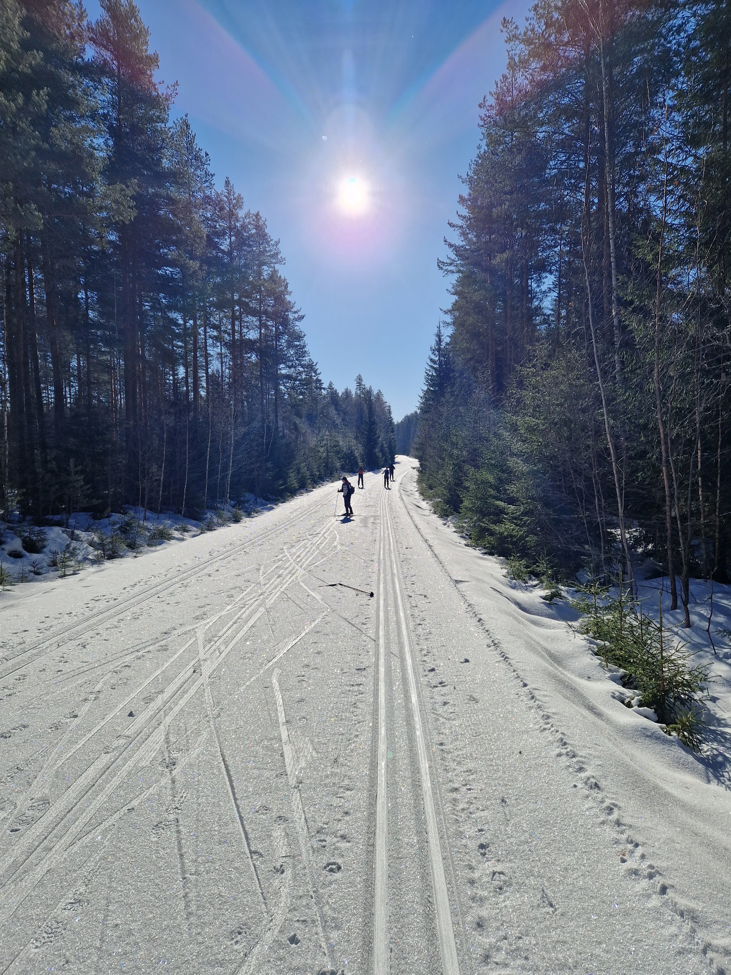 20230310_101733.jpg
