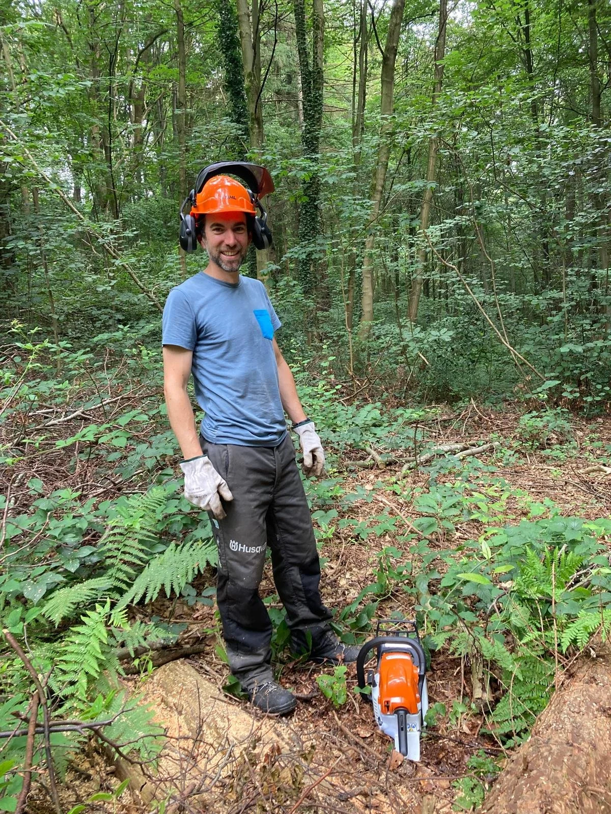 Man in bos met veiligheidshelm en gehoorbescherming, met op de grond naast hem een kettingzaag.