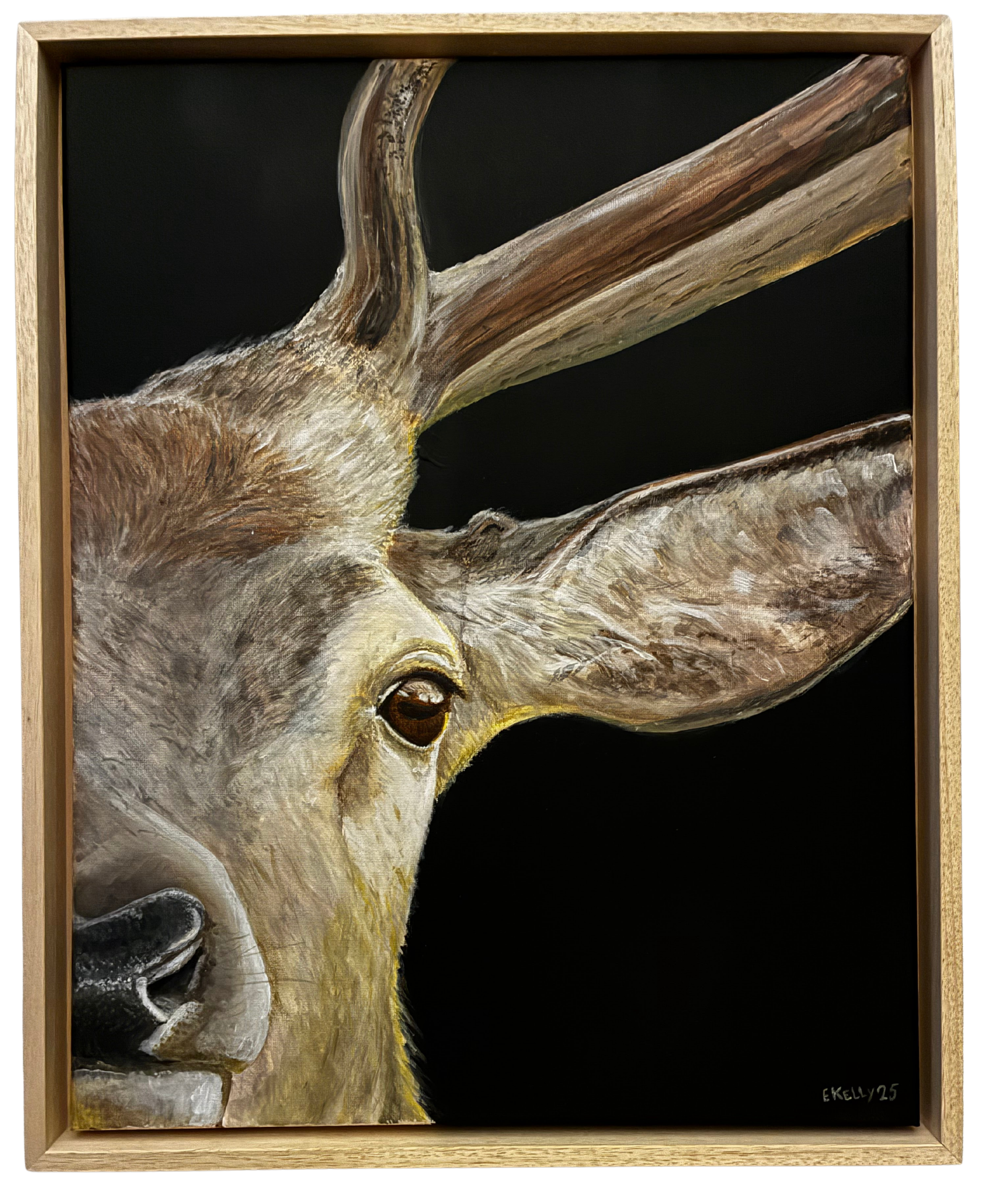 Edwin Kelly - Love You to Dear