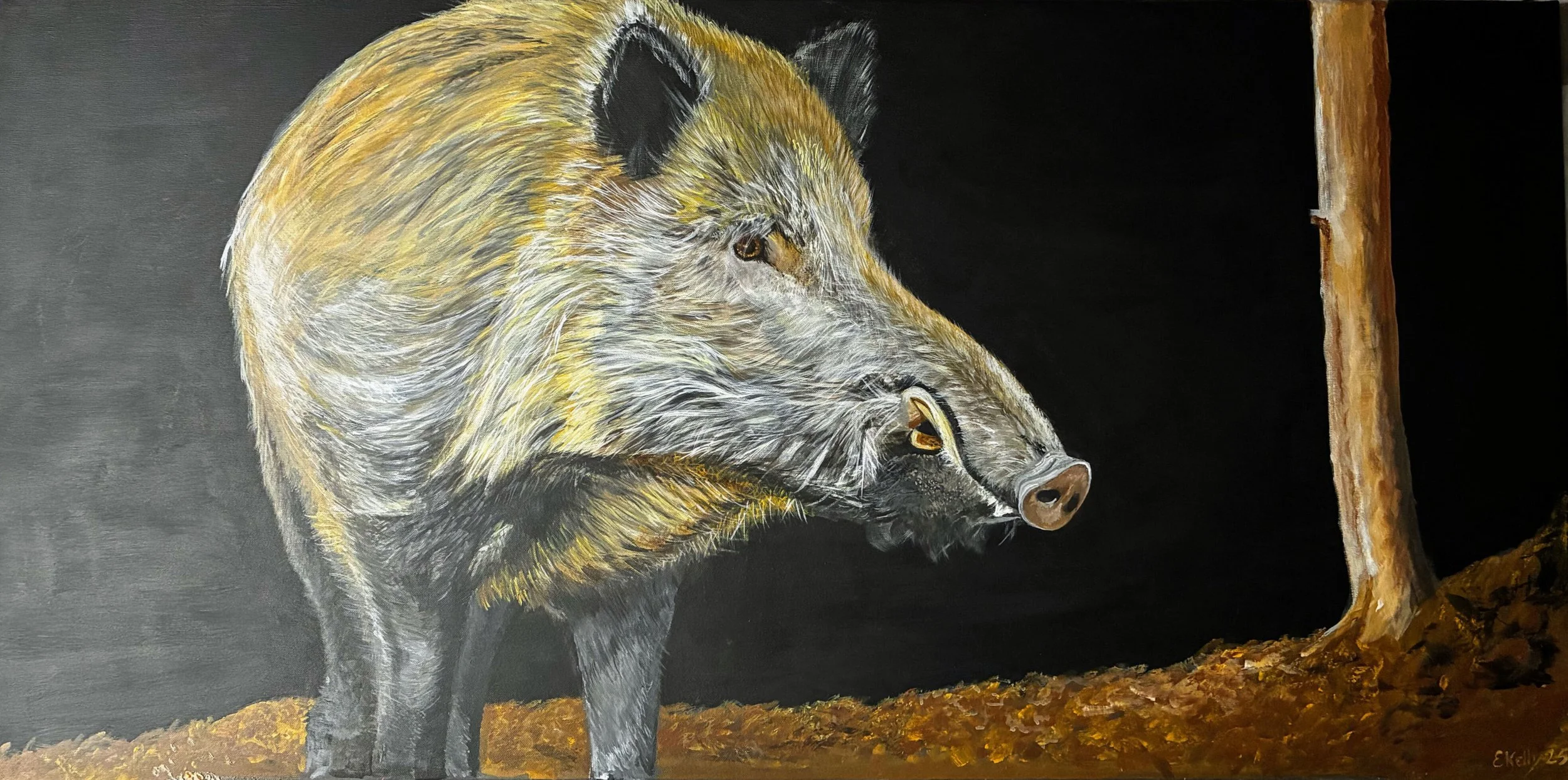 Edwin Kelly - Boar to wild