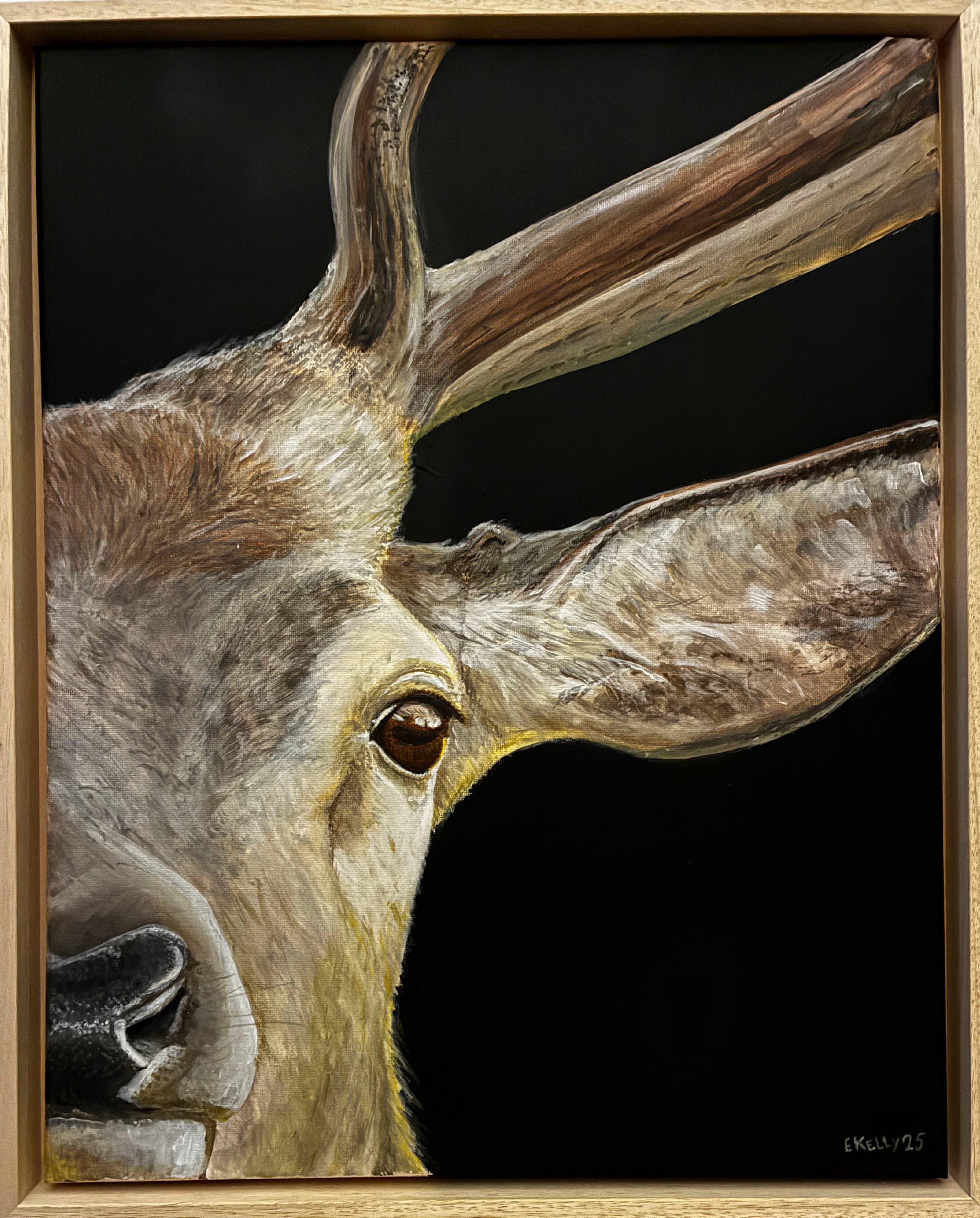 IMG_1228 - Bewerkt-2.png