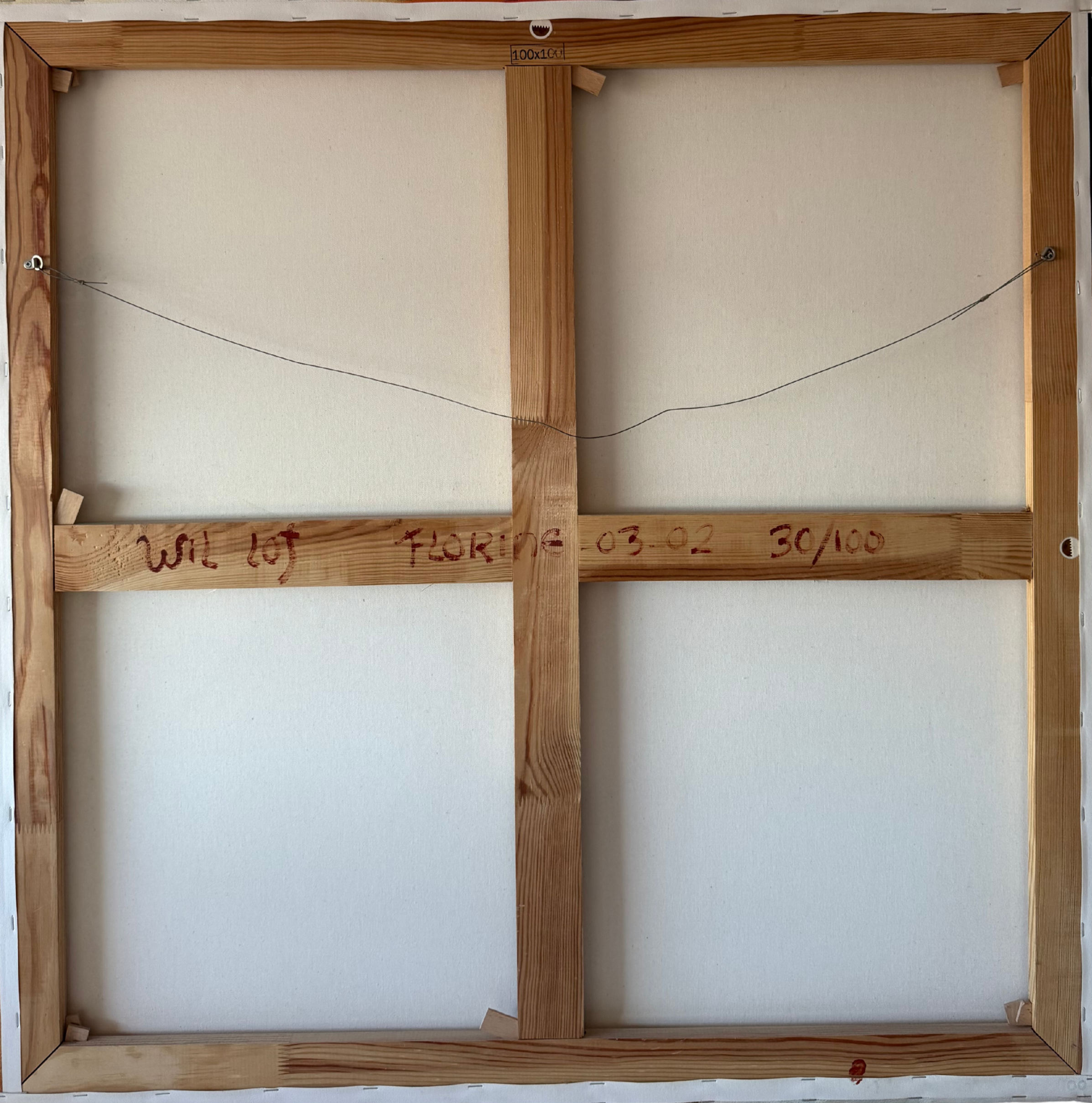 IMG_2841 - Bewerkt - Bewerkt.png