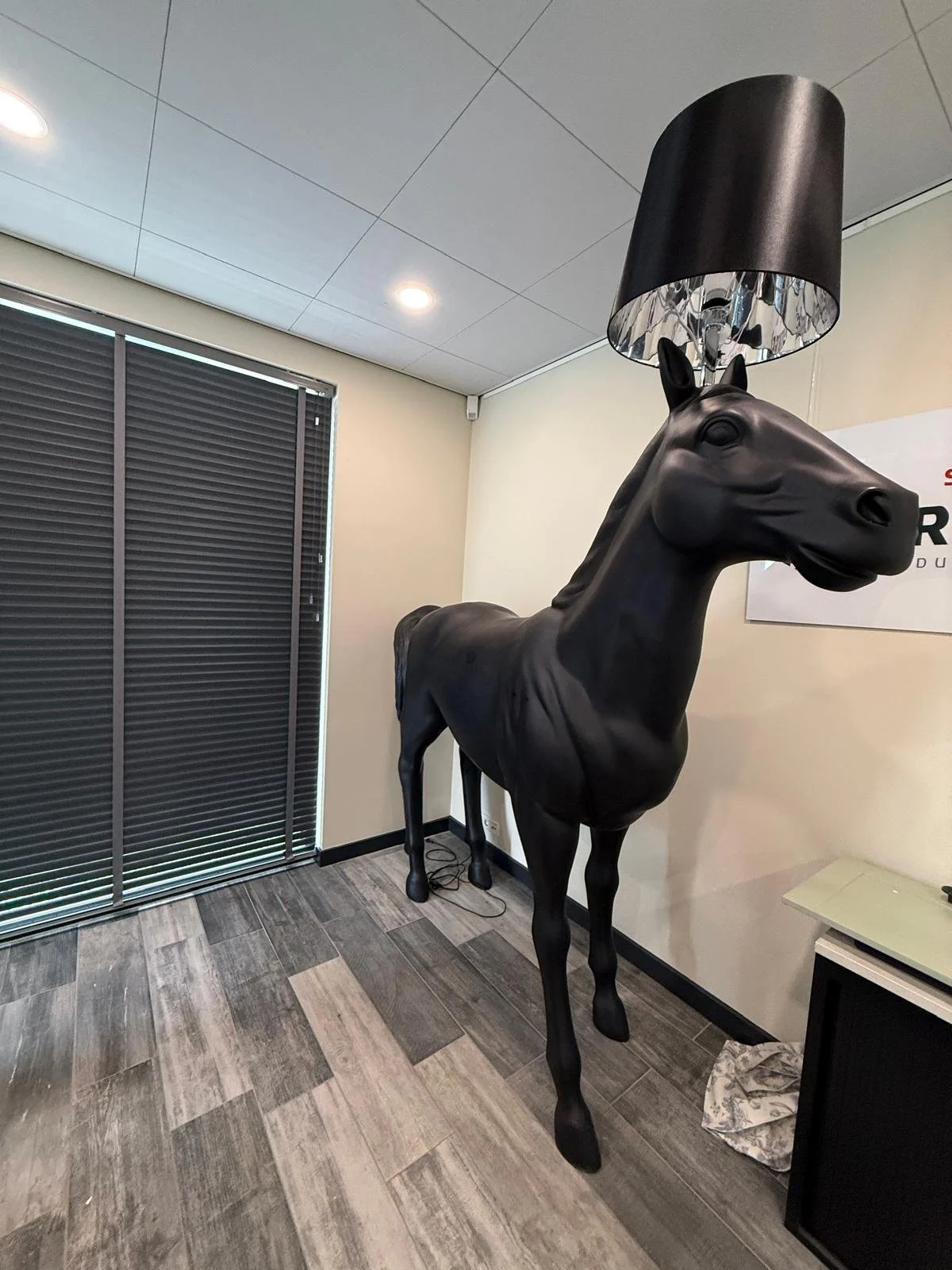paard2.jpg