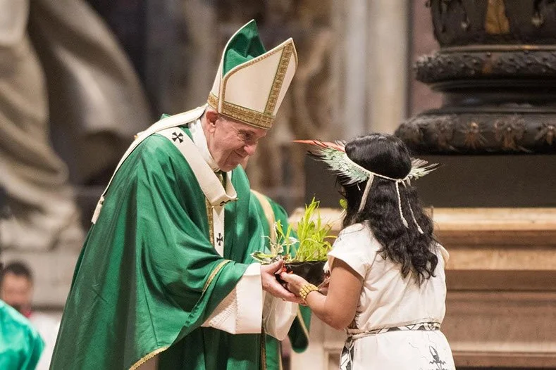 Beloved Amazonia - NATSICC responds to Pope Francis’ latest Exhortation on the Amazon.