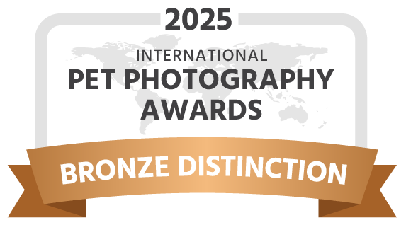 IPPA-2025-award-bronze-distinction-dark.png
