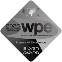 WPE Silver.png
