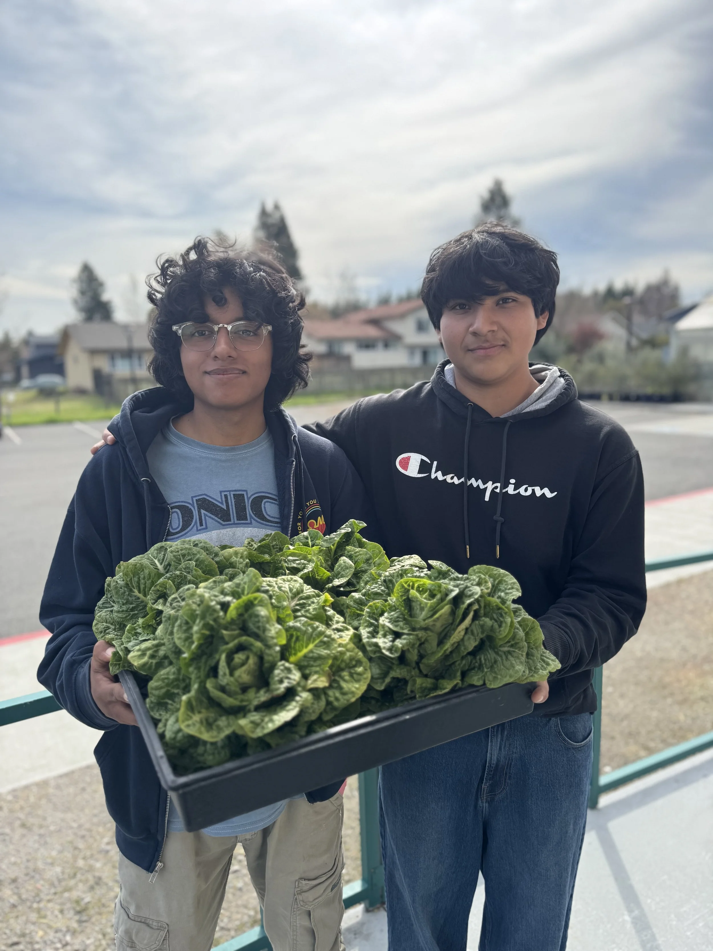 Two young men standing outdoors, one holding a tray of fresh lettuce, with a neighborhood of houses and trees in the background.