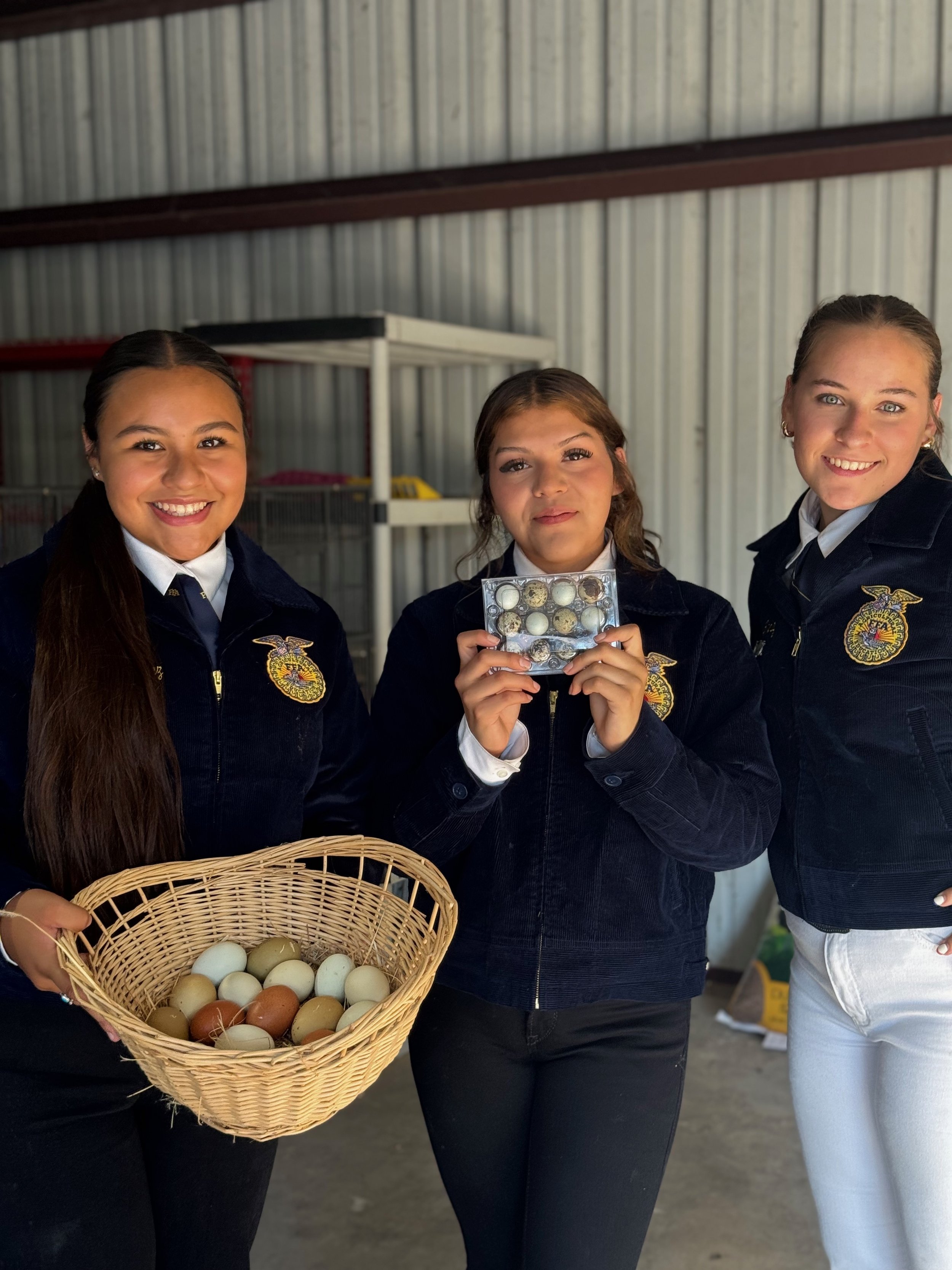 Three young women in matching uniforms holding a basket of eggs and a container of eggs inside a barn or similar structure.