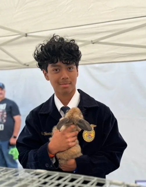 Young boy holding a brown and black baby rabbit at an outdoor event under a white canopy.